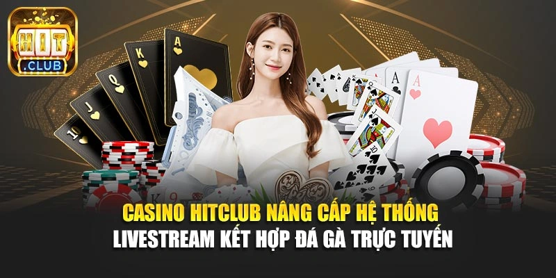 Casino Hitclub nâng cấp hệ thống livestream kết hợp đá gà trực tuyến