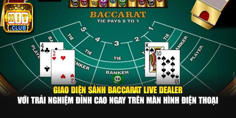 Giao diện sảnh baccarat live dealer với trải nghiệm đỉnh cao ngay trên màn hình điện thoại. 