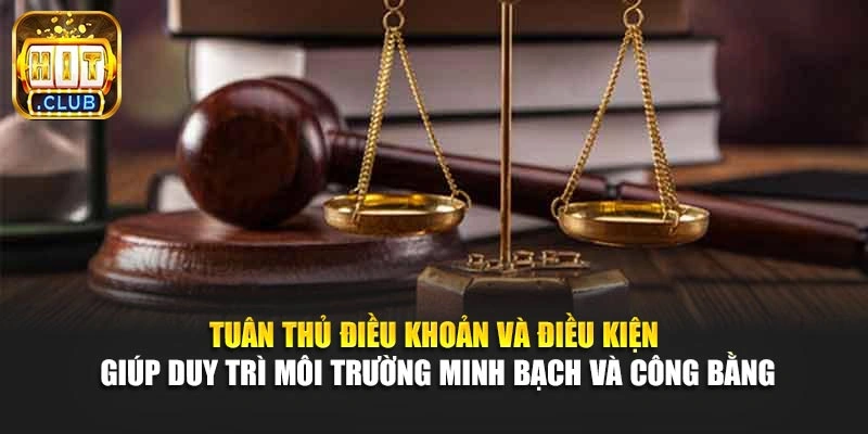 Tuân thủ điều khoản và điều kiện giúp duy trì môi trường minh bạch và công bằng